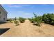 Expansive backyard featuring rows of young fruit trees, offering potential for a private orchard at 856 W Quail Cir, San Tan Valley, AZ 85143