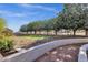 Spacious backyard featuring mature trees and manicured landscaping at 856 W Quail Cir, San Tan Valley, AZ 85143