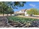Stunning single-story home featuring a well-manicured lawn and mature trees at 856 W Quail Cir, San Tan Valley, AZ 85143