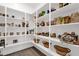 Organized walk-in pantry with white shelving, baskets, and ample storage space at 856 W Quail Cir, San Tan Valley, AZ 85143