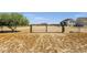 Open yard features a sturdy gate for easy access and enhances security of the sprawling property at 856 W Quail Cir, San Tan Valley, AZ 85143