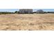 Expansive front yard displaying the home's facade and additional outbuilding, emphasizing the vast land at 856 W Quail Cir, San Tan Valley, AZ 85143