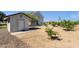 Outdoor storage shed and fruit trees in a private yard, perfect for hobbies and harvesting fresh produce at 856 W Quail Cir, San Tan Valley, AZ 85143
