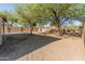 Large backyard with desert landscaping, mature trees, and privacy fence at 1073 N 159Th Dr, Goodyear, AZ 85338