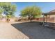 Low maintenance backyard with desert landscaping, mature trees, and covered patio at 1073 N 159Th Dr, Goodyear, AZ 85338