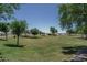 Expansive green space with mature trees and walking paths, perfect for recreation at 11832 W Electra Ln, Sun City, AZ 85373