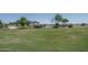 Well-maintained green space with automatic sprinklers and space for a variety of recreational activities at 11832 W Electra Ln, Sun City, AZ 85373