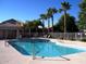 Community pool showcasing clear water, palm trees, and comfortable lounge seating at 1902 N 106Th Ave, Avondale, AZ 85392