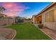 Well-maintained backyard featuring lush green lawn, covered patio, and a fun trampoline at 20269 E Hummingbird Dr, Queen Creek, AZ 85142