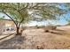 Spacious backyard with desert landscape, covered patio, and a mature tree at 21 E Irvine Rd, Phoenix, AZ 85086
