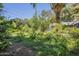 Backyard view showcasing mature trees and lush greenery, offering a serene outdoor setting at 3303 E Clarendon Ave, Phoenix, AZ 85018