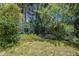 Backyard with mature trees and foliage, offering shade and privacy at 3303 E Clarendon Ave, Phoenix, AZ 85018