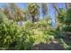 Lush backyard featuring mature trees and a partially obscured view of the home at 3303 E Clarendon Ave, Phoenix, AZ 85018