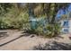 Exterior view of the home, showing a paved area and abundant tree coverage for natural shade at 3303 E Clarendon Ave, Phoenix, AZ 85018