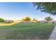 Large, well-maintained backyard with green grass, landscaping, and ample space for outdoor activities at 8468 W Lewis Ave, Phoenix, AZ 85037