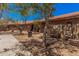 Backyard area with desert landscaping, trees, and a patio with furniture at 10480 W Martin Rd, Casa Grande, AZ 85194