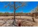 Backyard with desert landscaping with scattered plants and walkway at 10480 W Martin Rd, Casa Grande, AZ 85194