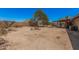 Expansive backyard with mature tree offering natural shade for outdoor living and entertaining at 10480 W Martin Rd, Casa Grande, AZ 85194