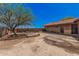 Expansive backyard provides outdoor space, with a view of a mature tree that offers natural shade at 10480 W Martin Rd, Casa Grande, AZ 85194