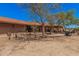 Photo of backyard with mature trees providing shade on the property at 10480 W Martin Rd, Casa Grande, AZ 85194