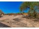 The expansive backyard provides outdoor space, including a mature tree offering natural shade at 10480 W Martin Rd, Casa Grande, AZ 85194