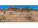 Wide angle shot of the land surrounding the property with sparse desert landscaping at 10480 W Martin Rd, Casa Grande, AZ 85194
