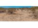 Land surrounding the property with desert landscaping and scattered plants at 10480 W Martin Rd, Casa Grande, AZ 85194