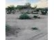 Expansive desert property with native plants and a glimpse of the home in the distance at 13819 E Cavalry Dr, Scottsdale, AZ 85262