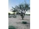 Serene desert landscape featuring native vegetation and a view of the home at 13819 E Cavalry Dr, Scottsdale, AZ 85262