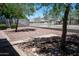 A backyard featuring lush trees, decorative rock landscaping, and a charming fence at 20443 N 39Th Dr, Glendale, AZ 85308