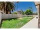 An expansive backyard featuring a lawn, palm trees, a cinder block fence, and a patio area, perfect for outdoor enjoyment at 2137 E New Bedford Dr, Gilbert, AZ 85234