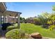 Expansive backyard with a covered patio, a manicured lawn and rock accents at 3123 E Buena Vista Dr, Chandler, AZ 85249