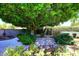 Backyard featuring a large tree, lush greenery, and a stone pathway at 3202 W Joan De Arc W Ave, Phoenix, AZ 85029