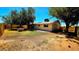 A grassy backyard features mature trees and a wood fence for privacy at 3708 W Peoria Ave, Phoenix, AZ 85029