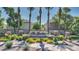 Beautiful landscaping adorns the community entrance sign and palm trees at 4169 E Jasper Dr, Gilbert, AZ 85296
