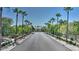 Street view lined with palm trees and landscaping at 4169 E Jasper Dr, Gilbert, AZ 85296