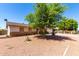 Single-story home with low-maintenance yard and mature shade tree at 617 E Calle Adobe Ln, Goodyear, AZ 85338