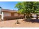 Single-story home with low-maintenance yard and mature shade tree at 617 E Calle Adobe Ln, Goodyear, AZ 85338