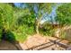 Stone patio with a lush, private garden offers a serene outdoor living space at 6255 E Crocus Dr, Scottsdale, AZ 85254