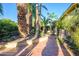 Relaxing courtyard setting with tiled patio, colorful potted plants, and mature palm trees at 6255 E Crocus Dr, Scottsdale, AZ 85254