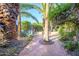 Charming courtyard with terracotta tile, mature palm trees, and drought-resistant landscaping at 6255 E Crocus Dr, Scottsdale, AZ 85254
