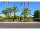 Street-level view of a property featuring a secure gate, tropical palm trees, and manicured hedges at 6255 E Crocus Dr, Scottsdale, AZ 85254