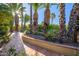 Unique courtyard featuring mature palm trees and drought-resistant landscaping at 6255 E Crocus Dr, Scottsdale, AZ 85254