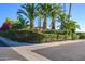 Well-maintained corner lot featuring palm trees, decorative hedges, and vibrant flowering bushes at 6255 E Crocus Dr, Scottsdale, AZ 85254