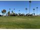Well-maintained golf course with lush green fairways and palm trees on a clear day at 120 N Val Vista Dr # 196, Mesa, AZ 85213