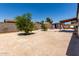 Expansive backyard featuring mature trees and a covered patio area, ideal for outdoor gatherings at 5432 W Sunnyside Dr, Glendale, AZ 85304