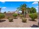 Serene backyard features a desert landscape, including gravel, palm trees, and unique desert flora at 10046 E Posada Ave, Mesa, AZ 85212