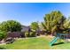 Landscaped backyard features lush green grass and a playset, inviting outdoor fun at 1342 E Jade Dr, Chandler, AZ 85286