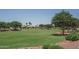 A large community field with lush green grass and trees at 15737 W Lundberg St, Surprise, AZ 85374