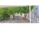 A shaded backyard features mature trees, rock landscaping, and covered patio, creating a serene outdoor space at 17200 W Bell Rd # 1501, Surprise, AZ 85374